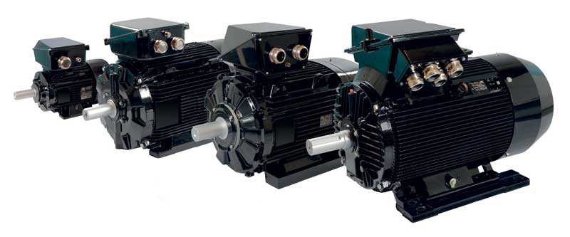 La gamma di motori Dyneo+ di Leroy Somer. l The Dyneo+ motors range from Leroy Somer.